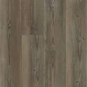 Shaw Paragon Ripped Pine on sale